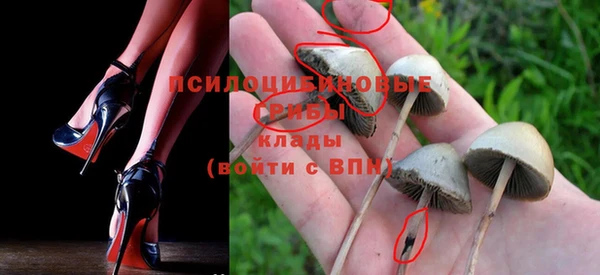 индика Абдулино