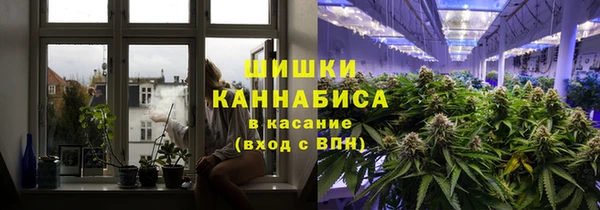 индика Абдулино
