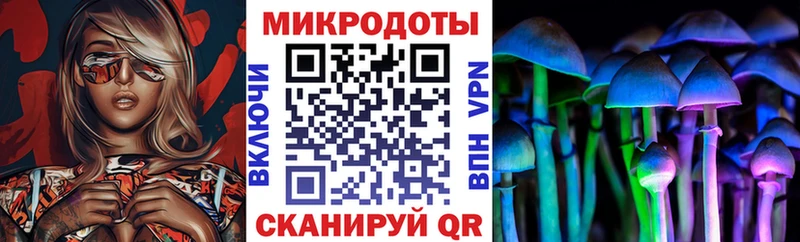 Псилоцибиновые грибы Psilocybine cubensis  Инта 